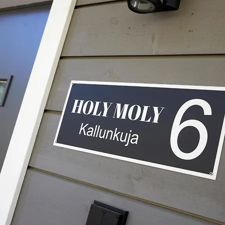 Holy Moly By Hilla Huvilat Pelkosenniemi